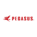 pegasus_512